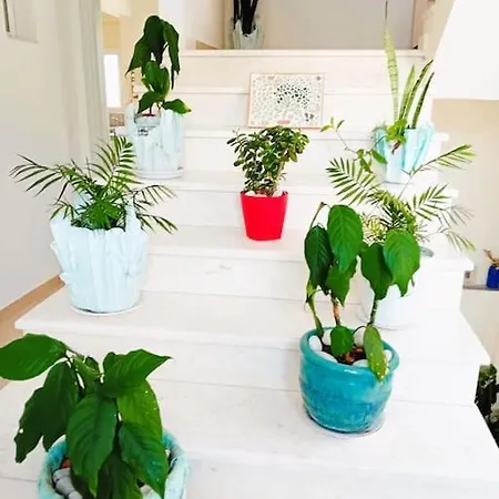 Apartment Sea Side Serenity 5 *