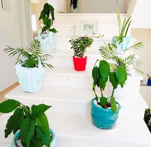 Daire Sea Side Serenity 5 *